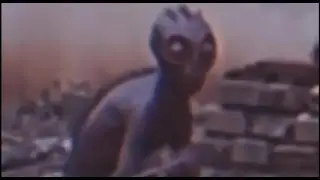 Allegedly video of Varginha 1996 creature