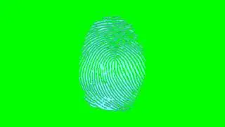 Biometric Fingerprint Scanner (green screen)