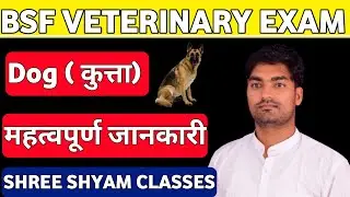 Bsf Veterinary Exam Dog All Information | Dog Diseases, Treatment And Medicine | Bsf Old Exam Paper