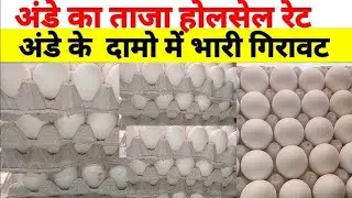Egg wholesale price #अंडेकेभाव #egg #eggs #wholesale #wholesaleprice #wholesaler #grocerystore