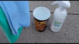 Tesla Tidbits Reviews - EcoGreen Auto Clean