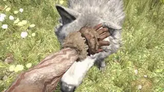 GTX 970 - ULTRA and BEST settings, and Live Benchmarking - Far Cry Primal