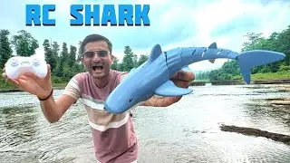 2.4G Remote Control Waterproof Shark Outdoor Swimming Unboxing - JMV TOYS
