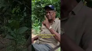 The Man Behind The Handunugoda Tea Estate Ahangama, Sri Lanka 🇱🇰 #shorts