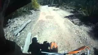 Decending Dingo Hill