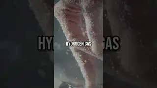 Burning Magnesium's Secret: Why Water Makes it Explode