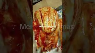 Roasted turkey and potatoes 