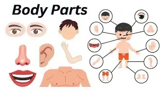 Head, Shoulders, Knees & Toes - Exercise Song For Kids -hibacore 