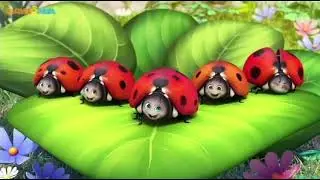 Five Little ladybugs reverse ￼