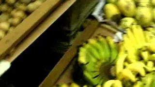 Tropical Fruits and Vegetables at the Place of Origin