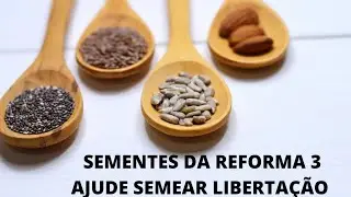 Voc&ecirc; teria coragem de contar NA  CCB seus maiores podres j&aacute; que l&aacute; n&atilde;o tem Juiz? #Shorts