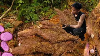 A great day for the CEO:Harvestingwild purple sweet potatoeslikened toginseng,self-sufficient living