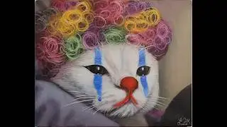 stop motion art