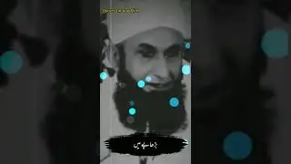 short bayan moulana tariq jameel | quotes for good life October 27, 2023