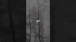 Трек "22:44", альбом "22:44" #клявин #длядуши #вайб #атмосфера #владимирклявин #рок #русскийрок