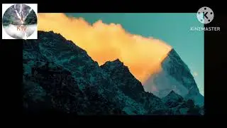 Top Most Popular Songs by NCS