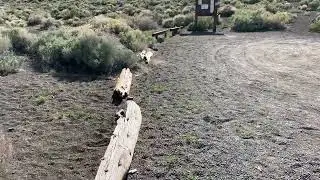 Black Point at MONO Lake