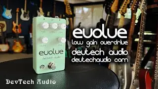 DevTech Audio: EVOLVE Overdrive