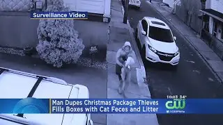 Pennsylvania Man Dupes Christmas Package Thieves With Boxes Filled With Cat Poop