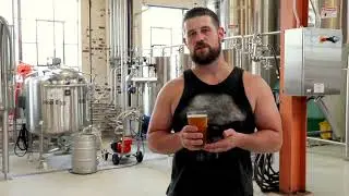 NoDa Brewing Co. - Cougar Brew - NoDable Release July 10th 2018