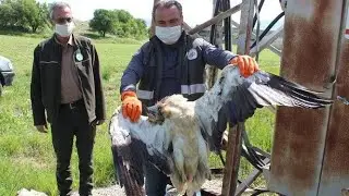 Scavengers of Nepal | Awareness Video | International Vulture Awareness Day 2025