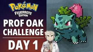 Neues Jahr, neue Challenge | Tag 1 | Prof. Oak Challenge