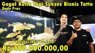 Grebek! Koleksi Ikan Predator Sultan Dode Pras Mega Tank Di Bali