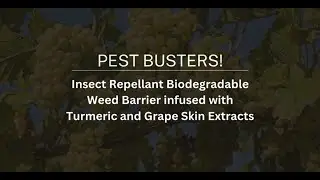 Humberto & Michael Title: Biodegradable Insect-Repellent Weed Barrier | Davidson Fellows Scholarship