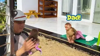Poor Monkey Kyo! She Waits Forever for Dad to Come Home Just to Take a Bath 😢🛁🐒
