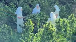 &lsquo;Weed Nuns&rsquo; sell plant-based medicine to help the world | NewsNation Prime