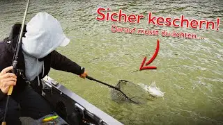Sicher Keschern! Darauf musst du achten&hellip;.