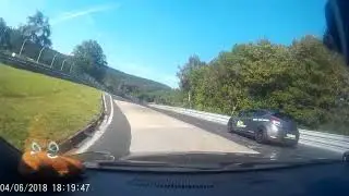 Signum V6 Nurburgring 4/6/18