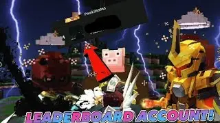 THIS IS THE RAREST ACCOUNT! [ Blockman go ] #blockmango