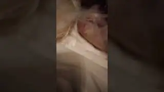 NASCITA DI SOPHIE FASE 2😍 MARGOT LA LECCA. 10/1/2025