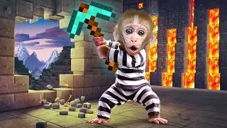 Der Affe Bon Bo entkommt aus dem Minecraft-Gef&auml;ngnis! 🧱🔥🐵 | BON BO MONKEY