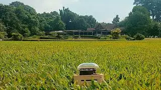 Balsam N20 @ Alchemelic Robotic Resonance 260210 6