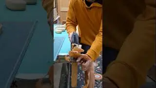 Stanley No7 JOINTER PLANE || Woodworking #shorts
