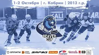 1.10.2022. BC. 2013. ПС. Кобрин-1  -  Сб.Регионов