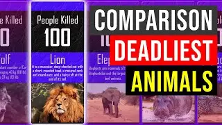 Comparison: Deadliest Animals on Earth