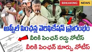 వీరికి పింఛన్ రద్దు నోటీసులు|ntr bharosa pensions latest news|november pensions latest news|