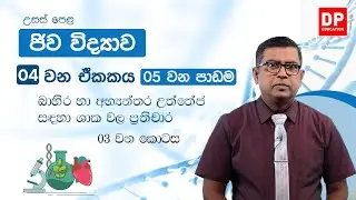 04 වන ඒකකය | 5 වන පාඩම - බාහිර හා අභ්‍යන්තර උත්තේජ සඳහා ශාකවල ප්‍රතිචාර - 3 වන කොටස | AL Bio
