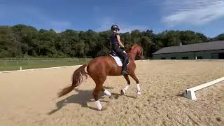 Supermodel (Secret/Loerke) 2022 Verband Premium mare.