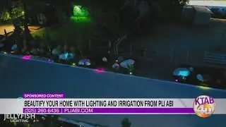 Beautify your home with lighting and irrigation from PLI ABI