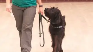 Georgia Board of Pardons and Paroles using K-9 to comfort crime victims