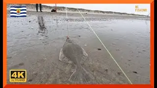 BOT VISSEN VANAF HET NOORDZEESTRAND.