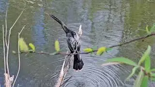 Big Cypress National Preserve
