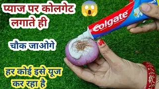 प्याज पर कोलगेट लगाते ही झाड़ू पोछा की टेंशन खत्म II kitchen tips II money saving tips