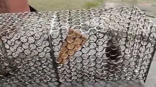 ᱪᱩᱴᱭᱟᱹ নেংটি ইঁদুর Mouse 