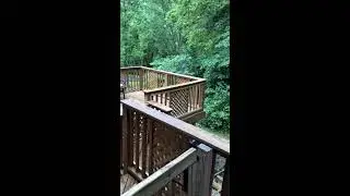 Mimi's House - summertime back deck views
