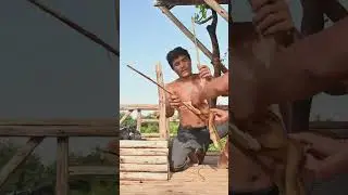 Building Bamboo House And Underground With Swimming Pools